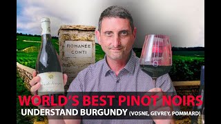 Finest Burgundy Wines  Your Guide to Top Pinot Noirs  VosneRomanée Pommard GevreyChambertin [upl. by Essirehs]