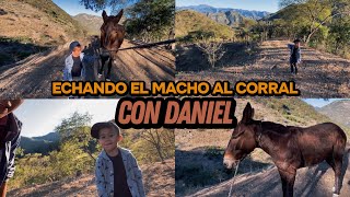 FUIMOS A ECHAR EL MACHO AL CORRAL DANIEL Y YO🐴LE HACEMOS SU CANAL A DANIEL 🍀 [upl. by Schreib]