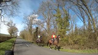 Horses reaction to recumbent bicycle spooked [upl. by Enomys]