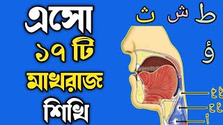 🔥Makhraj of Arabic letters  মাখরাজ  সহি কোরআন শিখুন [upl. by Yoong95]