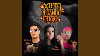 Xota Pegando Fogo Remix [upl. by Anear40]