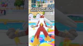 SHINY Torchic Evolution to Blaziken ✨ pokemon shinypokemon pokémon [upl. by Brosy299]